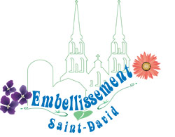 Logo Embellisement Saint-David