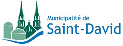 Logo de St David A