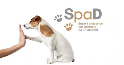 SPAD Societe Protectrice des Animaux de Drummond Featured image 1